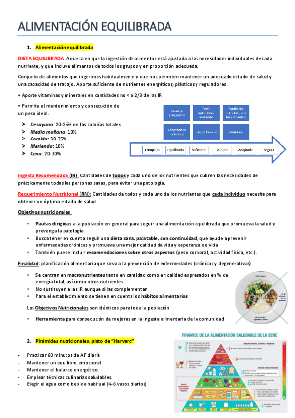 Miniatura del documento Alimentacion-equilibrada.pdf