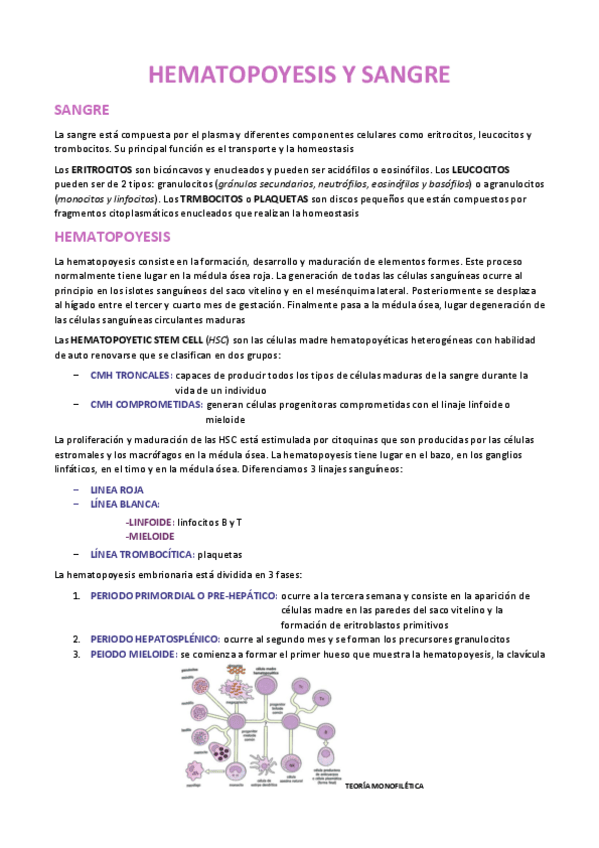 Miniatura del documento HEMATOPOYESIS-Y-SANGRE.pdf