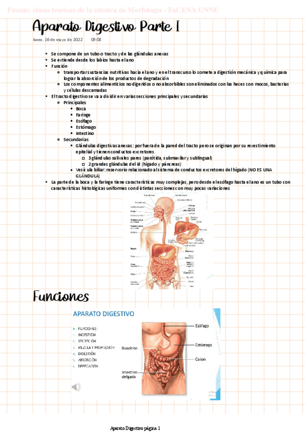 Miniatura del documento MORFO-Aparato-digestivo-Parte-I.pdf