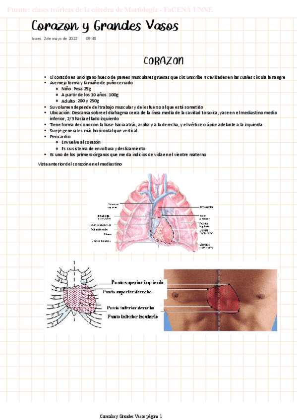 Miniatura del documento MORFO-Corazon-y-Grandes-Vasos-macro.pdf