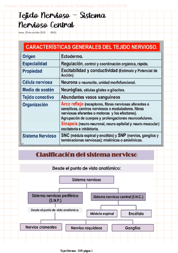 Miniatura del documento MORFO-Tejido-Nervioso.pdf