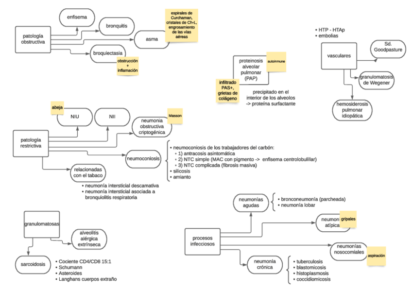 Miniatura del documento diagrama-patologia-pulmonar.pdf