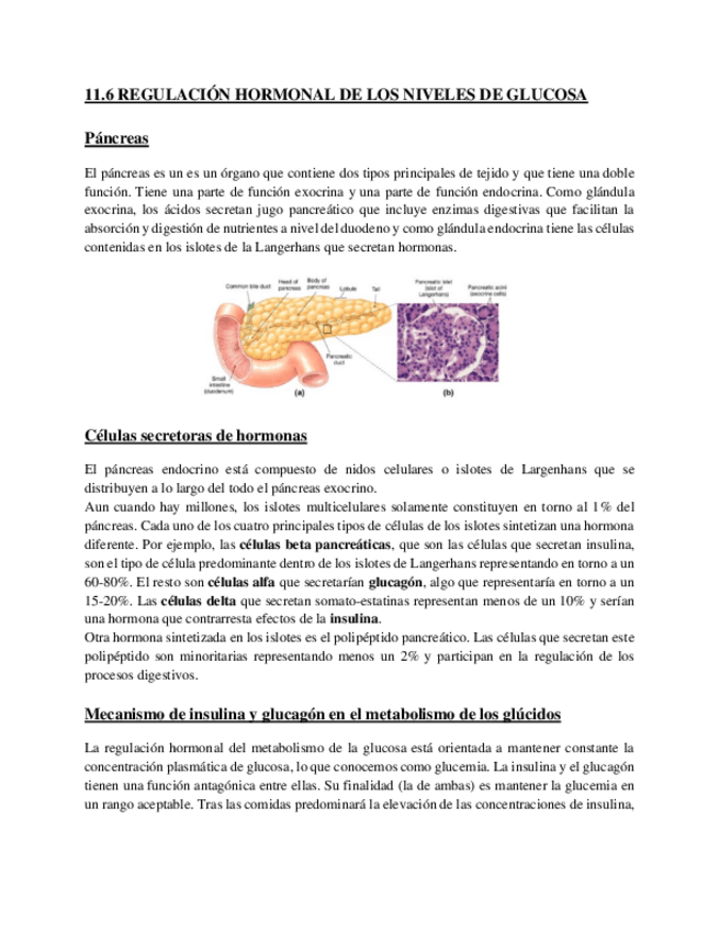Miniatura del documento TEMA-11.pdf