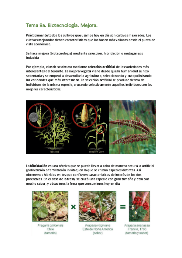 Miniatura del documento FVA-Tema-8.pdf