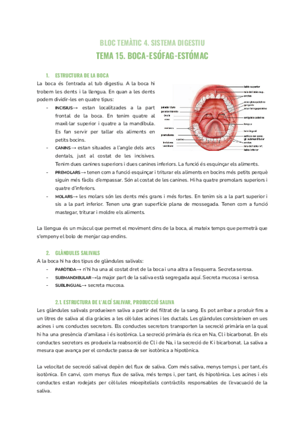 Miniatura del documento tema-15.pdf
