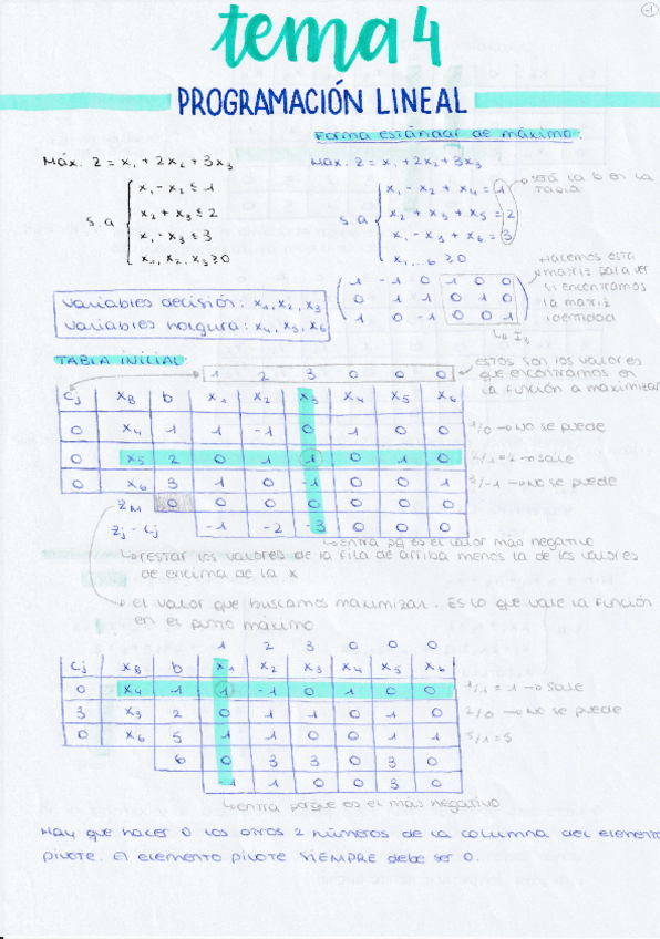 Miniatura del documento TEMA-4.pdf