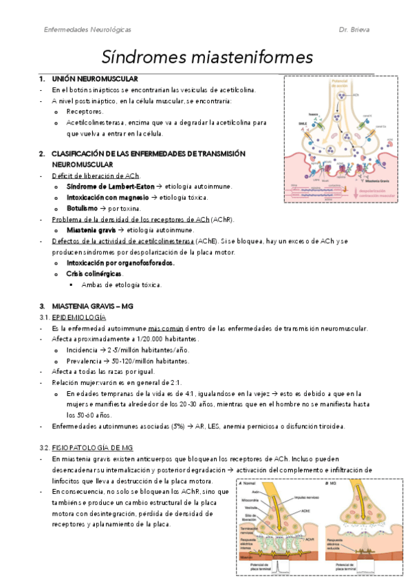 Miniatura del documento M14.pdf