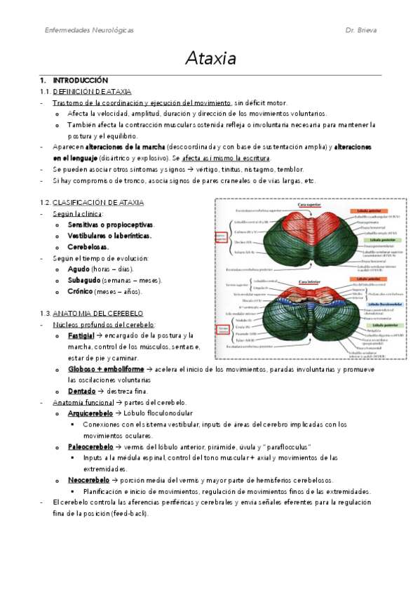 Miniatura del documento M13.pdf