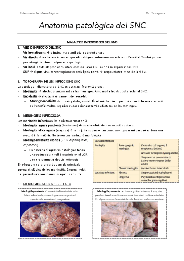Miniatura del documento APA-SNC.pdf