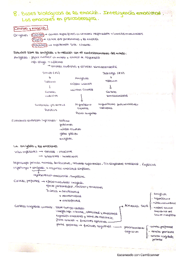 Miniatura del documento Motivacion-y-Emocion-T8.pdf