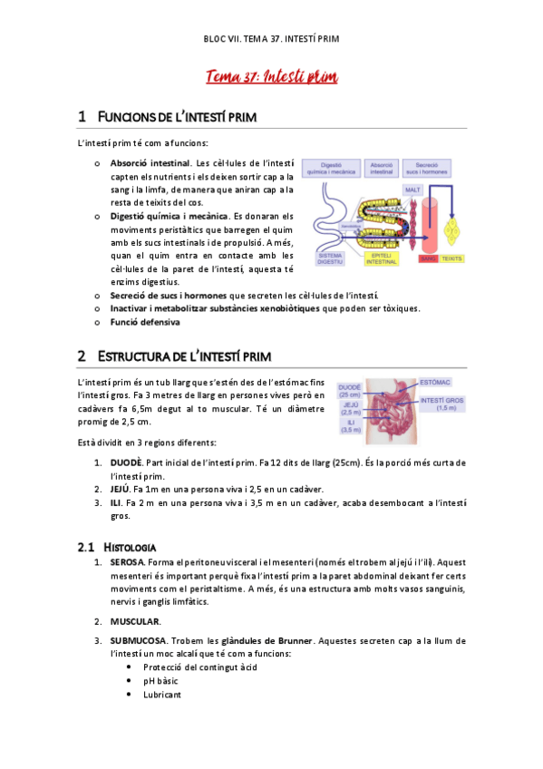 Miniatura del documento tema-37-intesti-prim.pdf