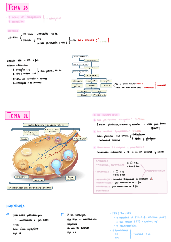 Miniatura del documento Esquemas-Ginecologia-.pdf