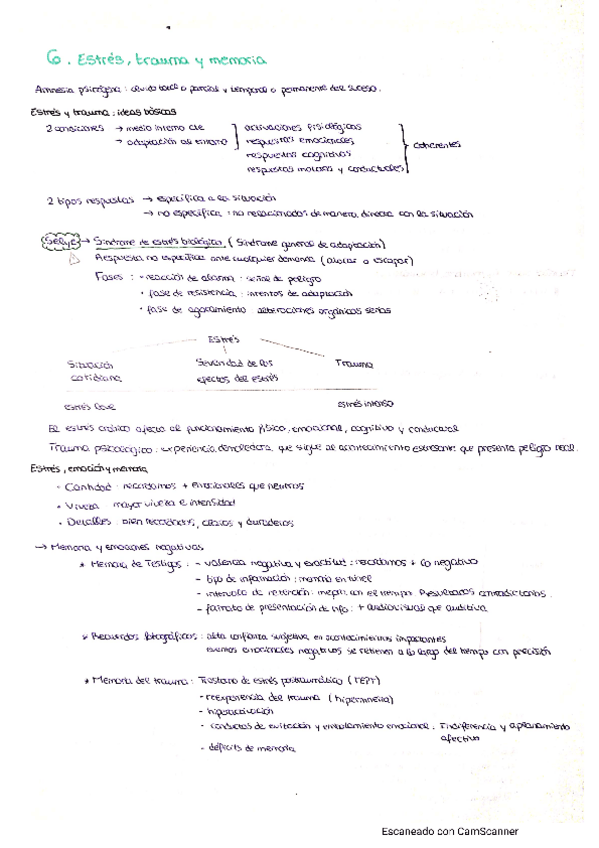 Miniatura del documento Psicologia-de-la-Memoria-T6.pdf