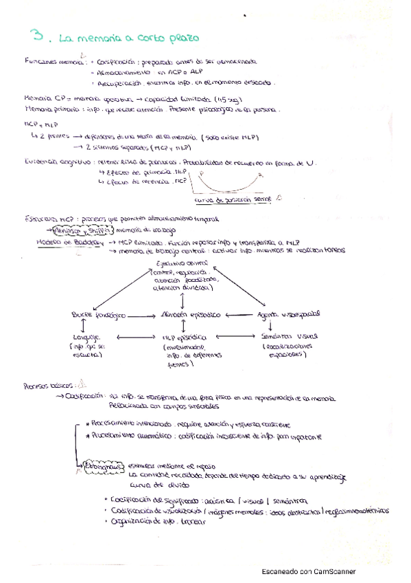 Miniatura del documento Psicologia-de-la-Memoria-T3.pdf