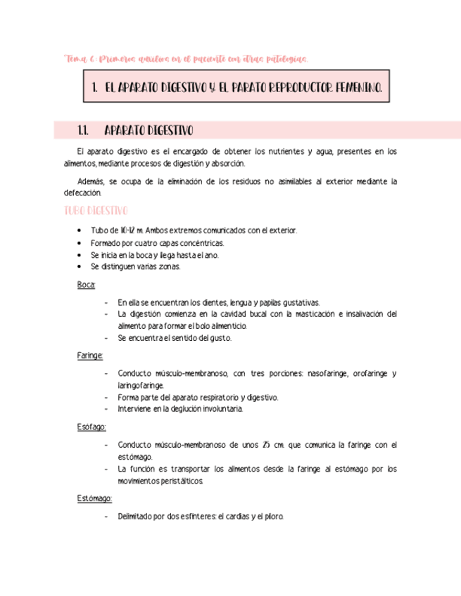 Miniatura del documento PAX-T6.pdf
