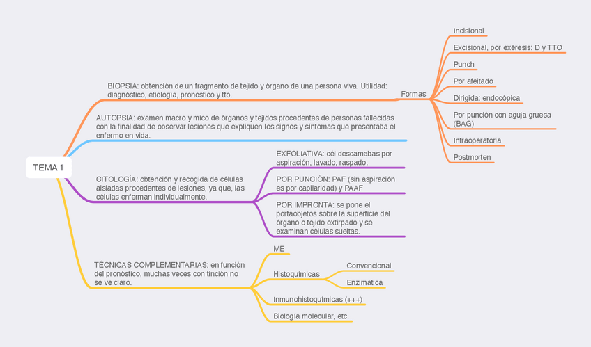 Miniatura del documento TEMA-1-AP.pdf