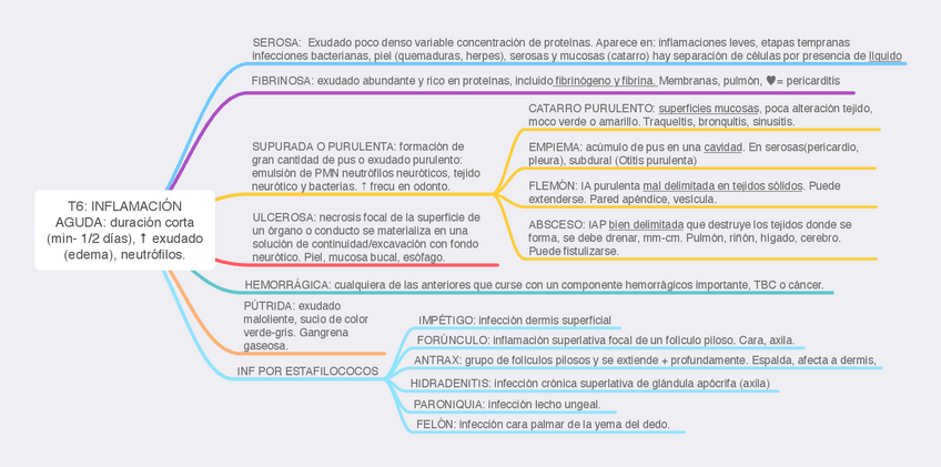 Miniatura del documento TEMA-6-AP.pdf