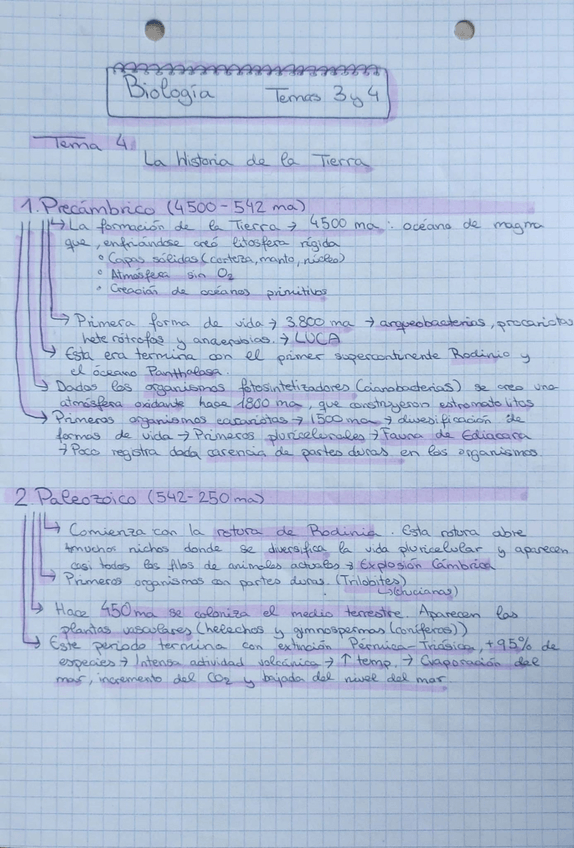 Miniatura del documento Tema4.pdf
