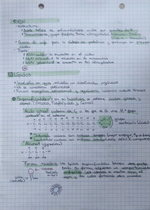 Miniatura del documento Tema7.pdf