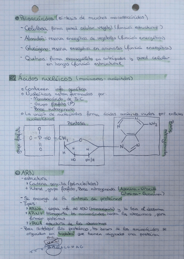 Miniatura del documento Tema7.pdf