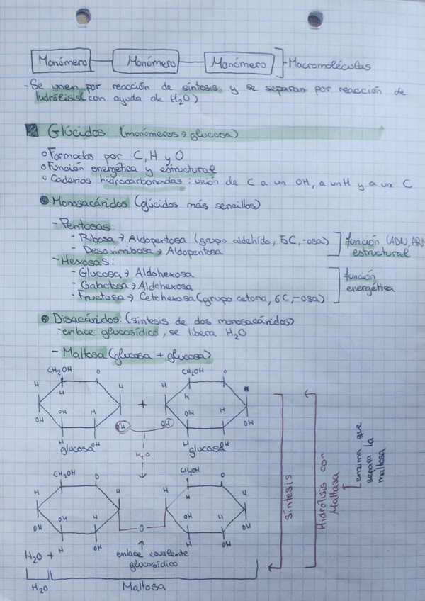Miniatura del documento Tema7.pdf