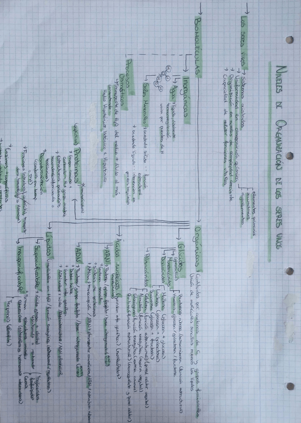 Miniatura del documento Esquema.pdf