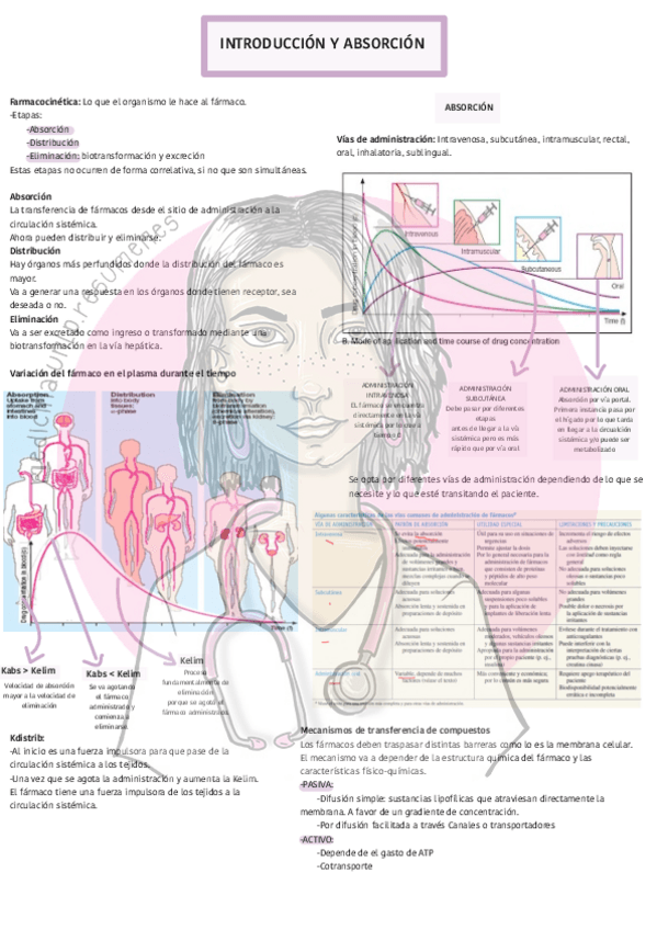 Miniatura del documento Fcocinetica-Introduccion-y-absorcionwatermark.pdf