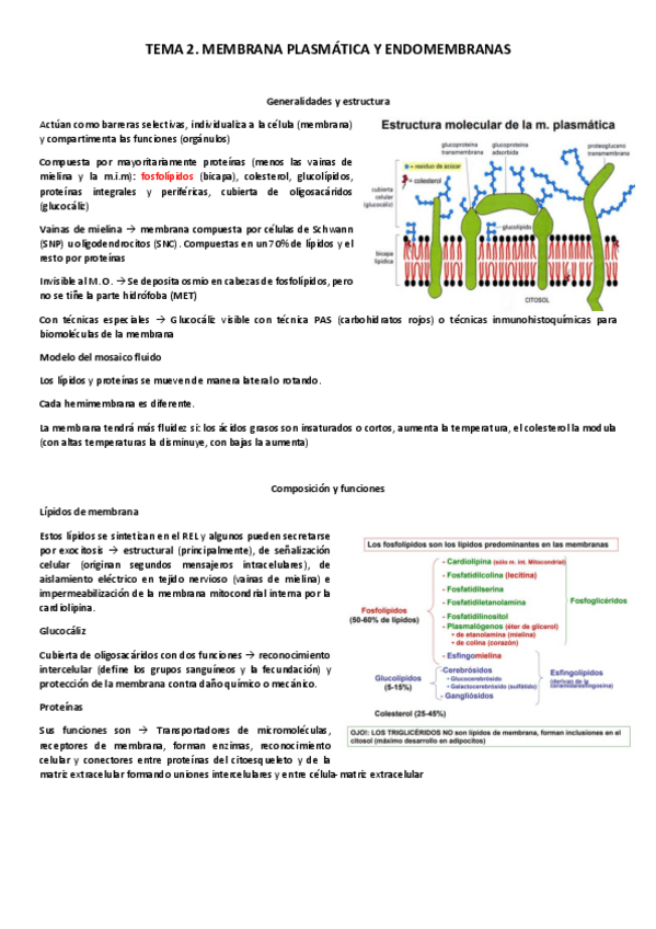 Miniatura del documento Tema-2.pdf