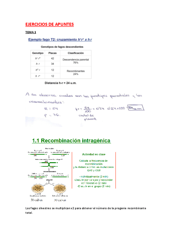 Miniatura del documento EJERCICIOS DE APUNTES.pdf
