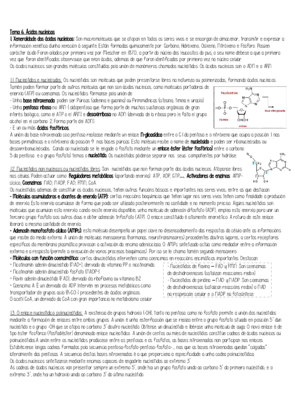 Miniatura del documento 5.pdf