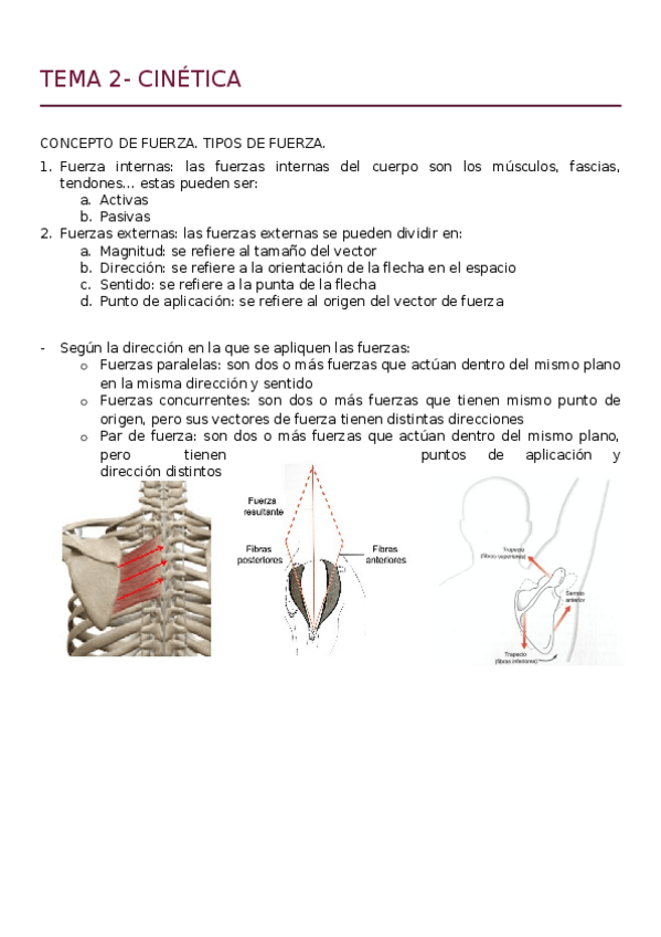 Miniatura del documento TEMA-2-.docx