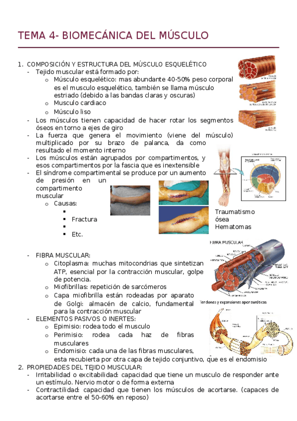 Miniatura del documento TEMA-4-.docx