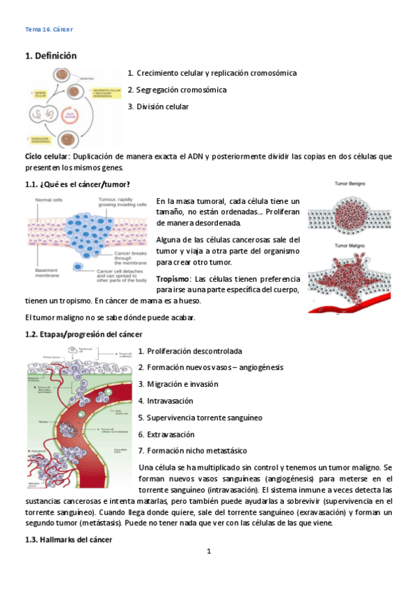 Miniatura del documento Tema-16.pdf