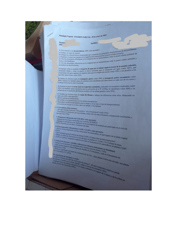 Miniatura del documento Examen-Fisiologia-Vegetal-febrero-2022.pdf