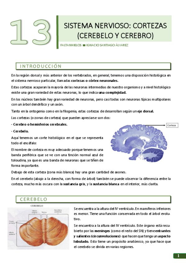 Miniatura del documento 13.pdf