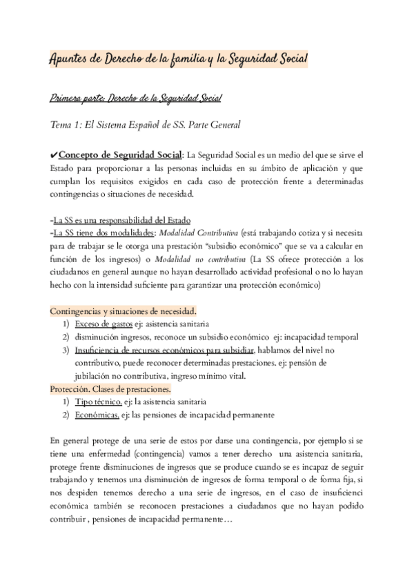 Miniatura del documento Apuntes-de-Derecho-de-la-familia-y-la-Seguridad-Social.pdf