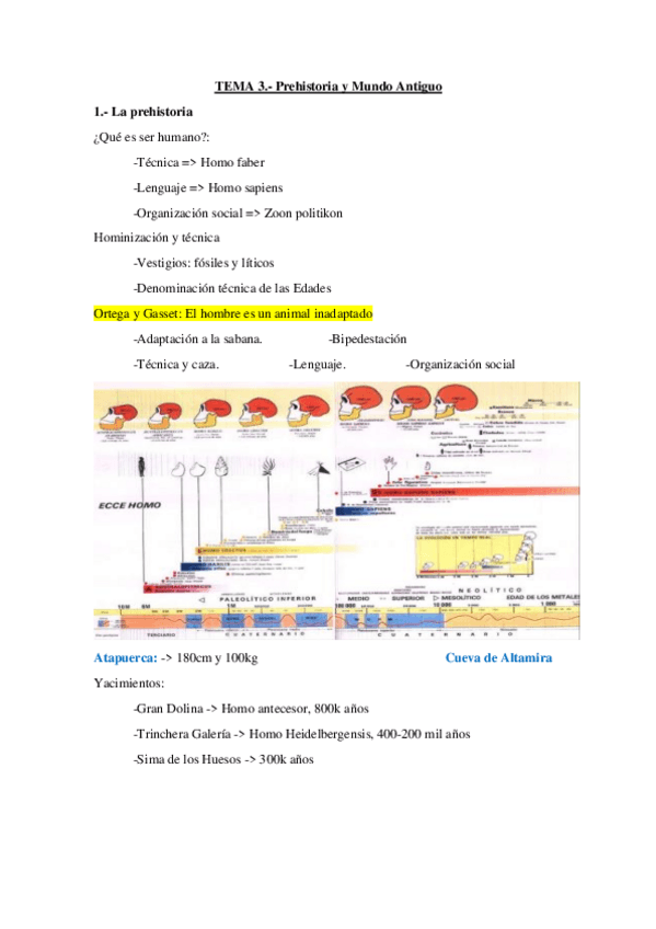 Miniatura del documento TEMA-3-Y-4-desde-la-prehistoria-hasta-el-mundo-griego.pdf