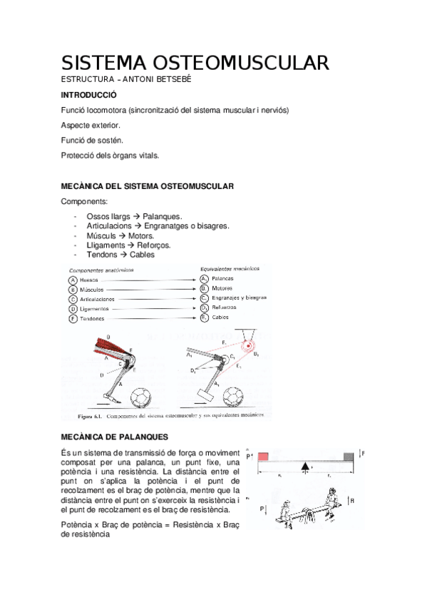 Miniatura del documento SISTEMA-OSTEOMUSCULAR.docx