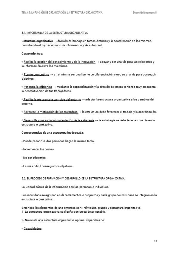 Miniatura del documento t5-direccio-d-empreses.pdf