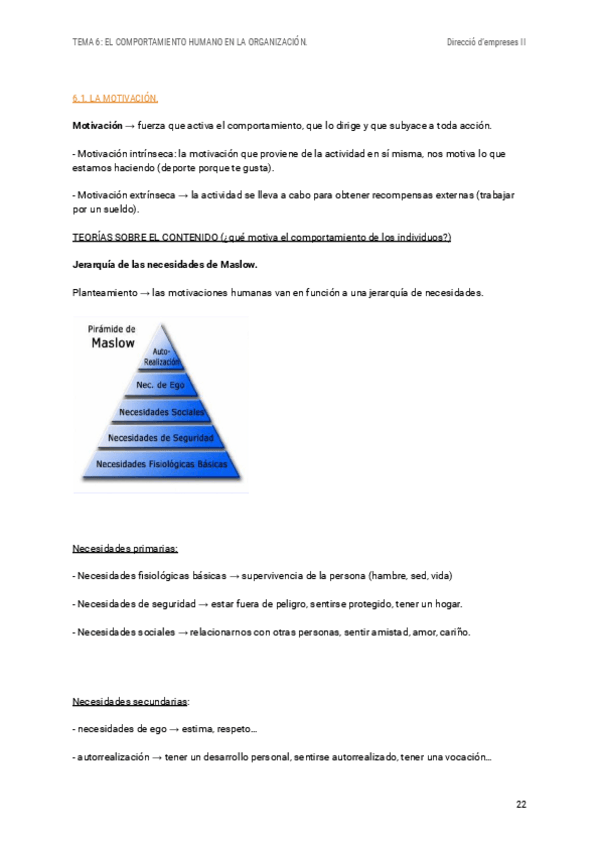 Miniatura del documento t6-direccio-d-empreses.pdf