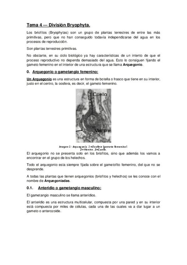 Miniatura del documento Tema-4-Division-Bryophyta.docx
