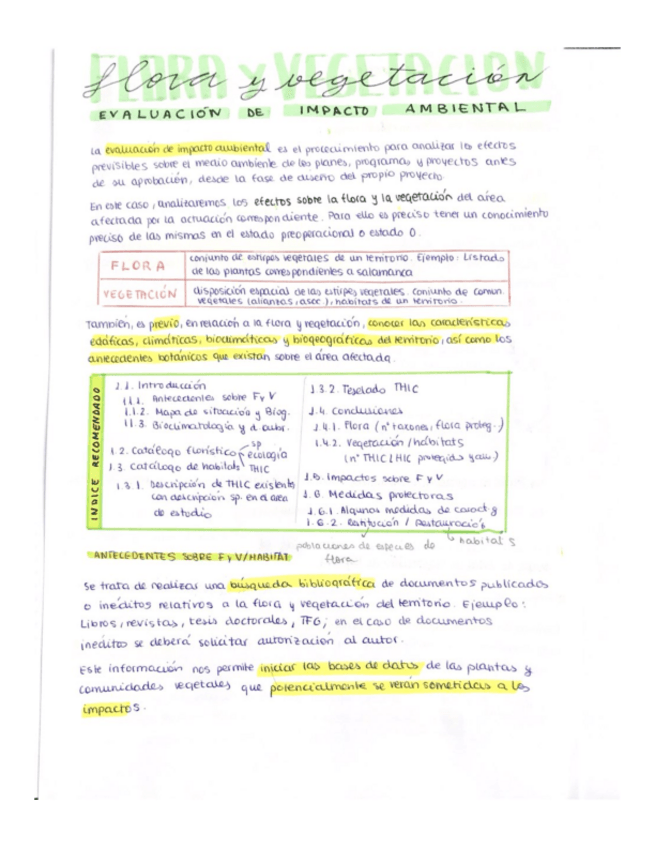 Miniatura del documento Flora-y-Vegetacion-EIA.pdf