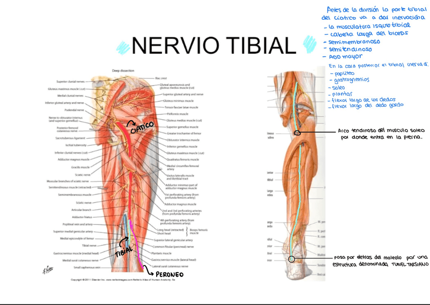 Miniatura del documento D0A3A4FF-4CE4-48DC-9C48-AFA174B3CE97.jpg