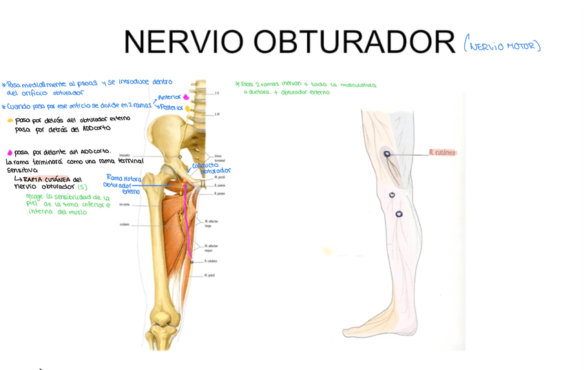 Miniatura del documento 89EF5B3F-6AD0-4615-9F27-2DB8555E7541.jpg