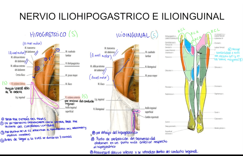 Miniatura del documento AB53E834-75C8-489E-B3D7-2003BADB6E4F.jpg