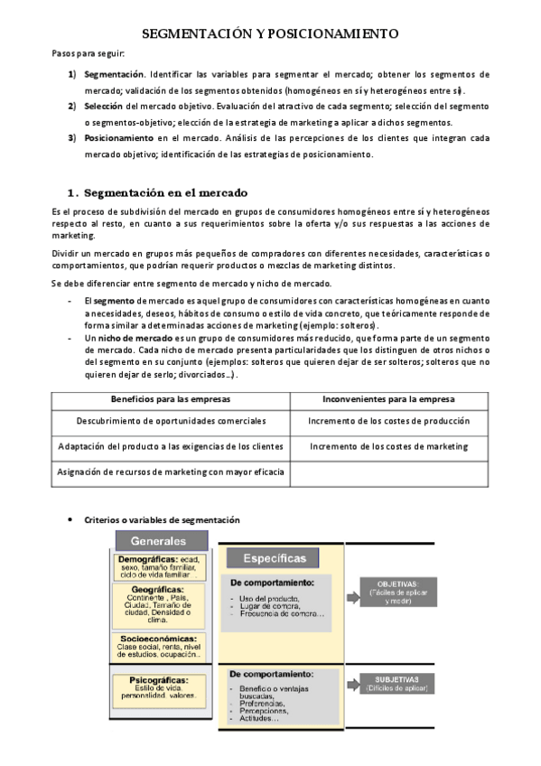 Miniatura del documento T6-Segmentacion-y-posicionamiento.pdf