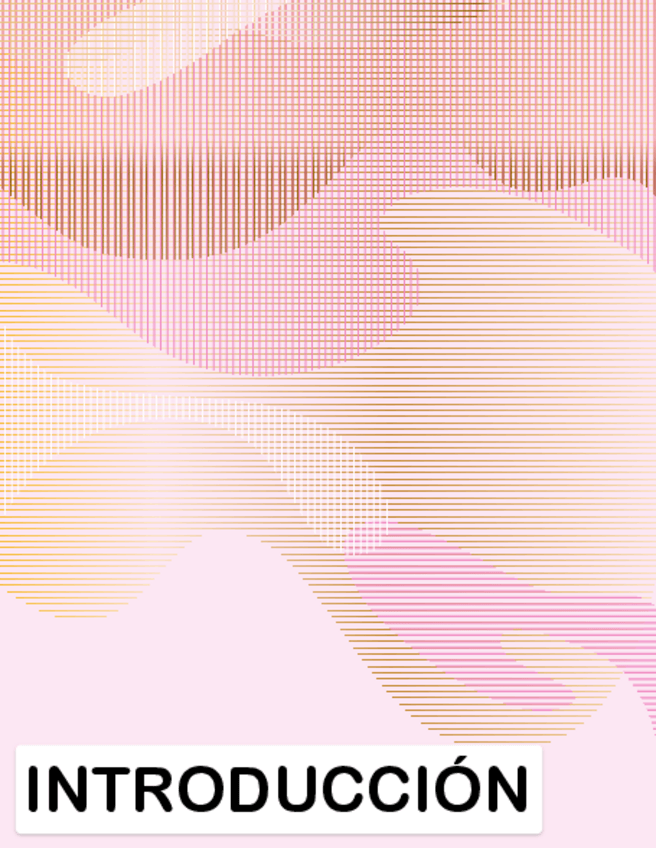 Miniatura del documento Introduccion-.pdf