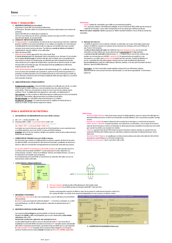 Miniatura del documento esquema bases.pdf