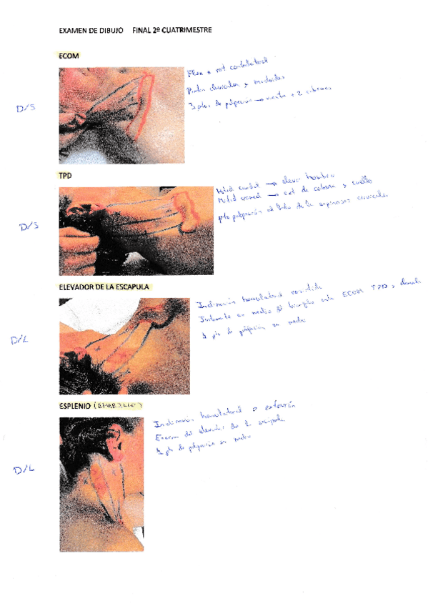 Miniatura del documento IMG202205310001.pdf