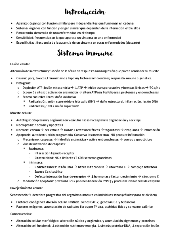 Miniatura del documento Resumen.pdf